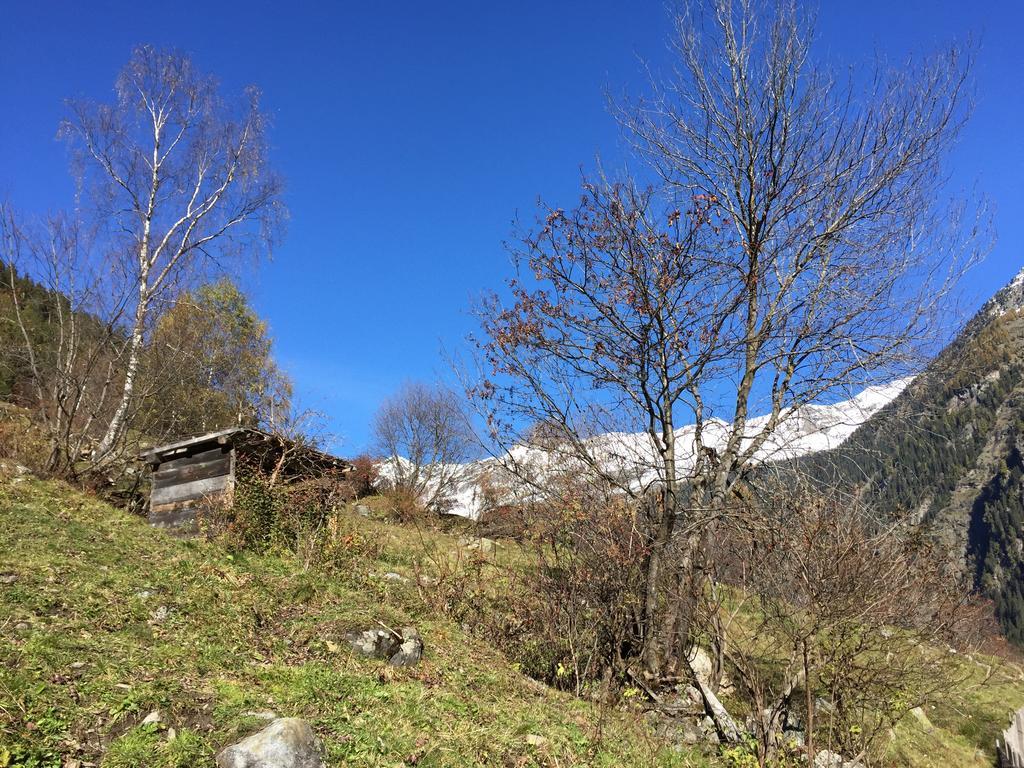 Appart Kalsberger Kaunertal Værelse billede